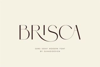 Brisca Font: Designer Tips & Creative Projects
